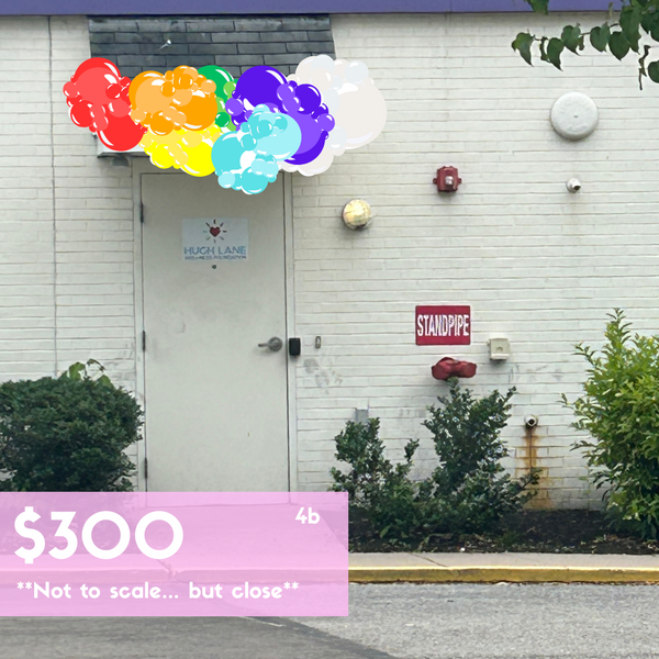 Hugh Lane Wellness Custom Balloon Installation - Job ID: 061824HLW