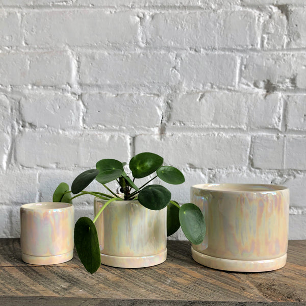 Tandem Ceramics Tabletop Planters (more options)