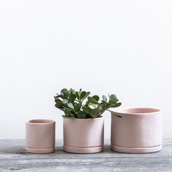 Tandem Ceramics Tabletop Planters (more options)