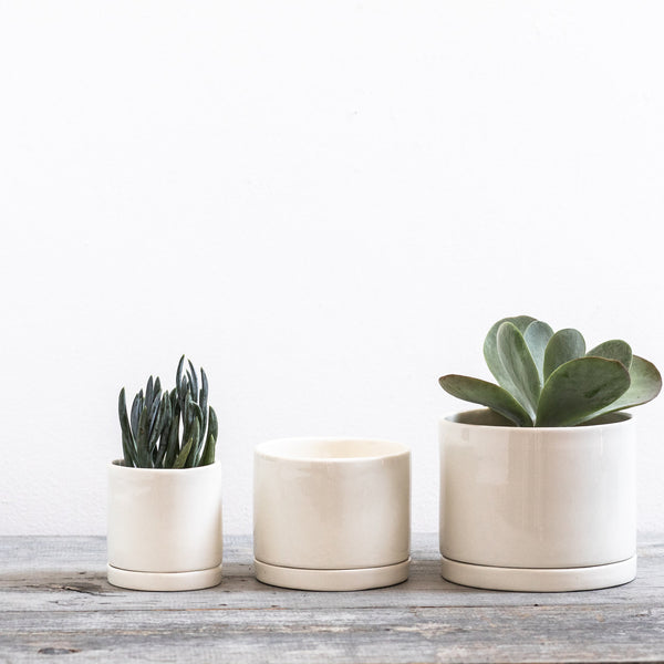 Tandem Ceramics Tabletop Planters (more options)