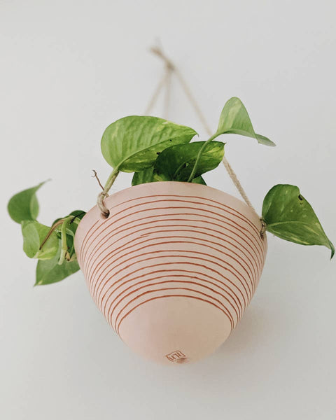 Horizon Line Hanging Planters By Half Light Honey
