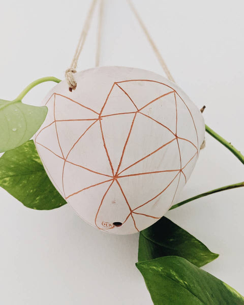 Horizon Line Hanging Planters By Half Light Honey
