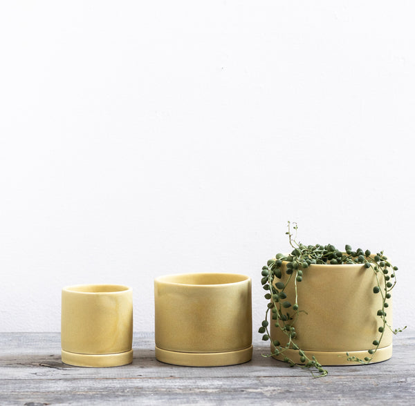 Tandem Ceramics Tabletop Planters (more options)