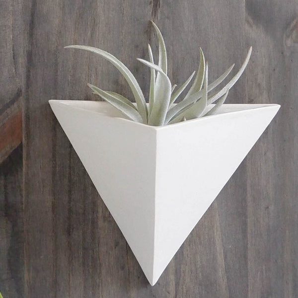 Tetra Plant Wall Planter