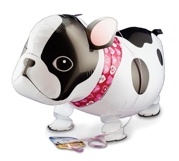 19" foil french bulldog frenchie helium balloon for delivery and pick up in Pittsburgh