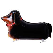 22_inch_daschund_foil_helium_balloon for pick up and delivery in pittsburgh