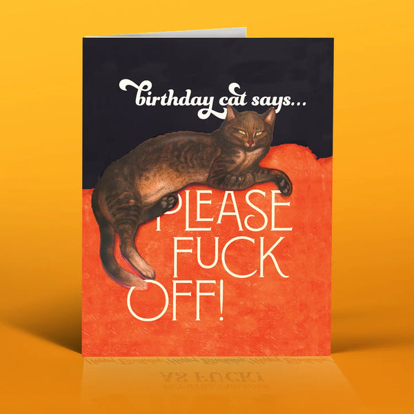 Birthday Cat!