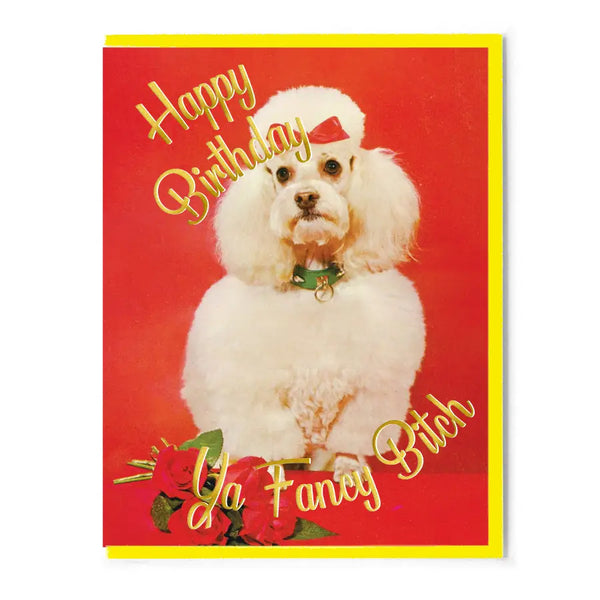 Happy Birthday Fancy Bitch white Dog red Background Funny Birthday Card Greeting Card