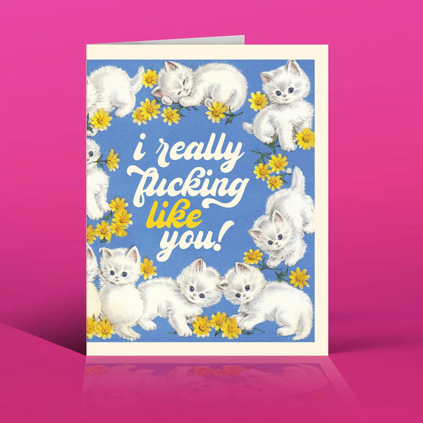 Like You Kittens! Greeting Card