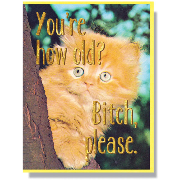 You're How Old? Bitch please. Birthday greeting card cat funny 