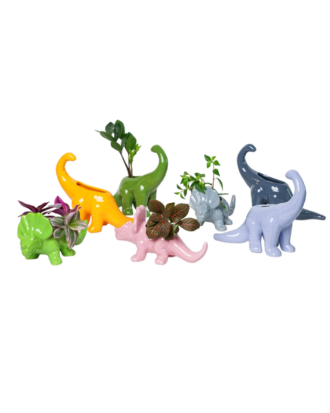 Dinosaur Ceramic Indoor Plant Pots (more colors/styles)