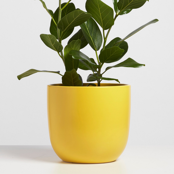 7" Contour Planter (more colors)