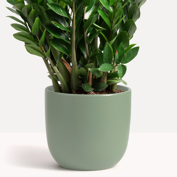 7" Contour Planter (more colors)