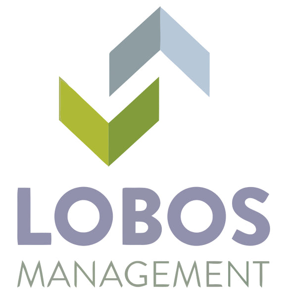 LOBOS Custom Balloon Installation - Job ID: 072723LOBOS