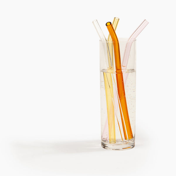 Glass Straw Set- Warm