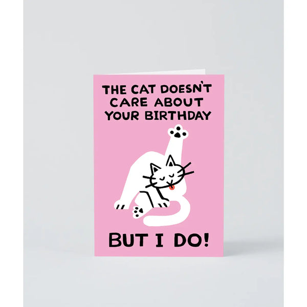 Cat Doesn't Care Birthday Greeting Card